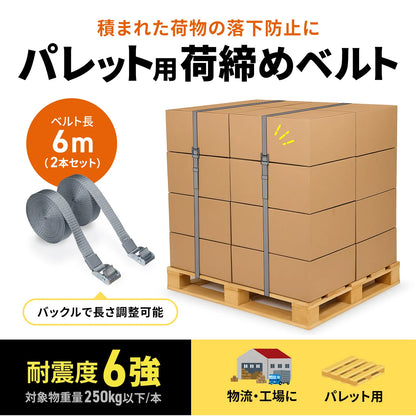 Pallet securing straps (6m x 2 pieces) QL-E103