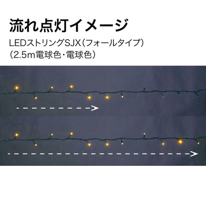 LED String Light SJX (Fall Type) SJX-S05-25LL
