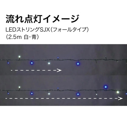LED String Light SJX (Fall Type) SJX-S05-25WB
