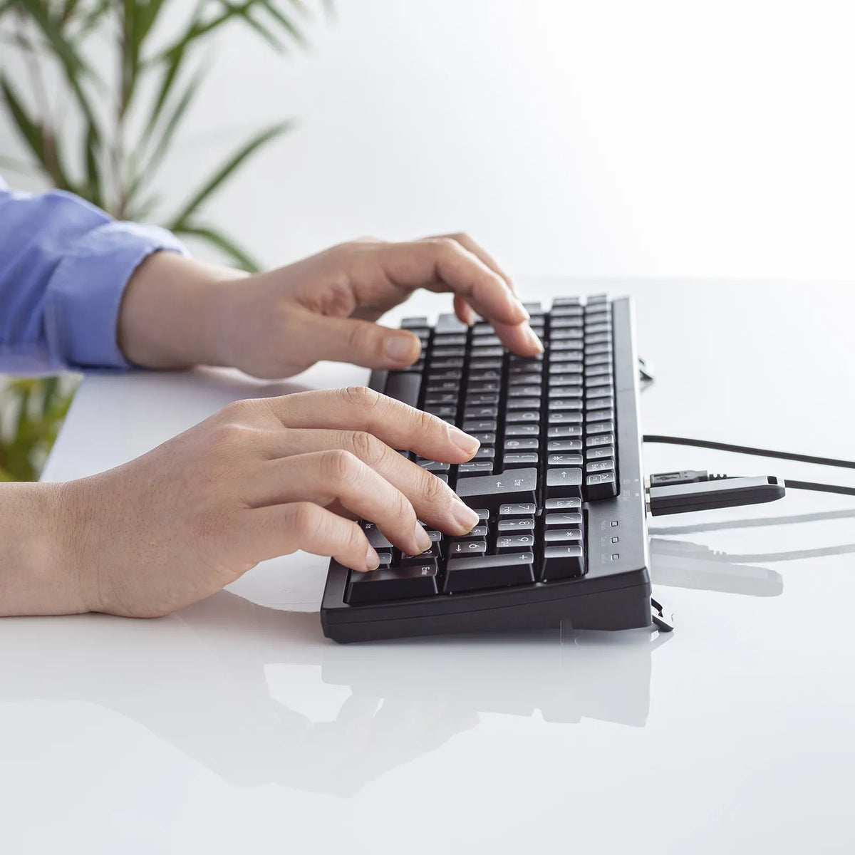 Compact keyboard with USB hub SKB-KG2UH3BK