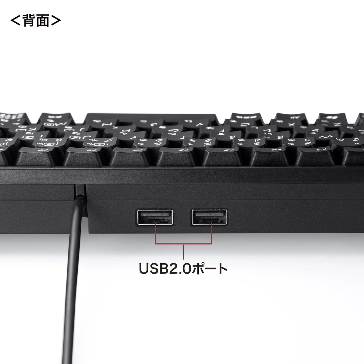 Compact keyboard with USB hub SKB-KG3UH2BK