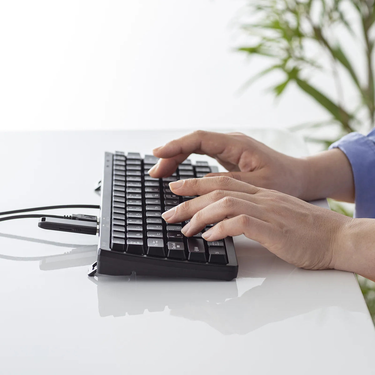 Compact keyboard with USB hub SKB-KG3UH3BK