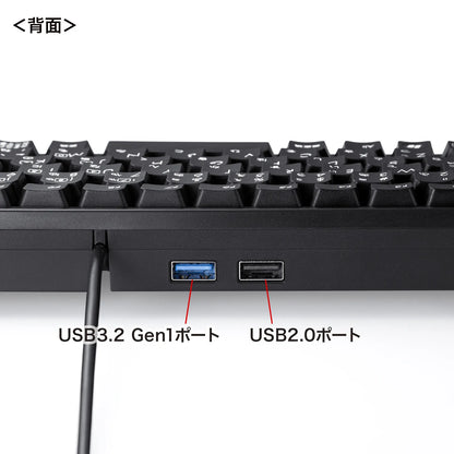 Compact keyboard with USB hub SKB-KG3UH3BK