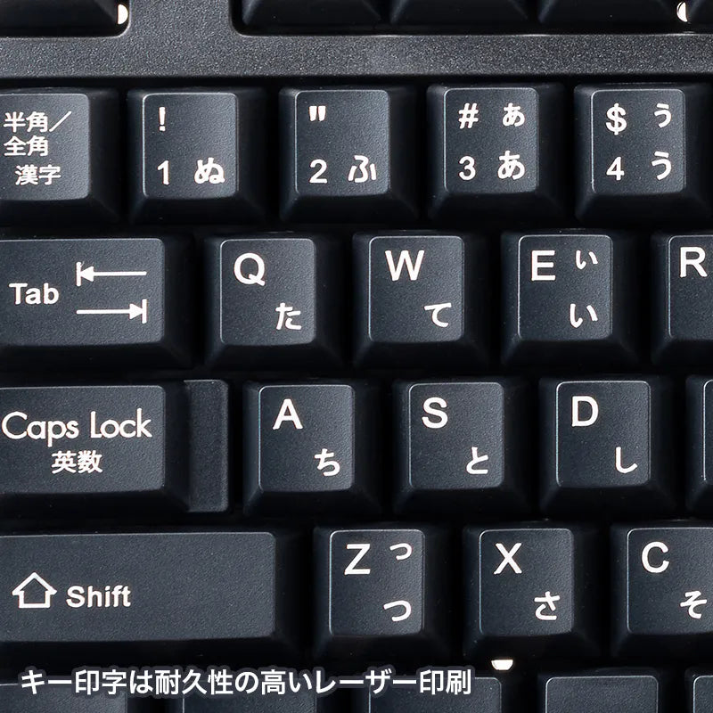 PS/2 Keyboard SKB-L1BKN