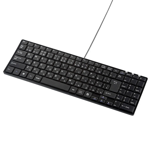 USB Slim Keyboard SKB-SL17BKN