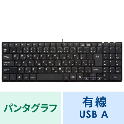 USBスリムキーボード SKB-SL17BKN