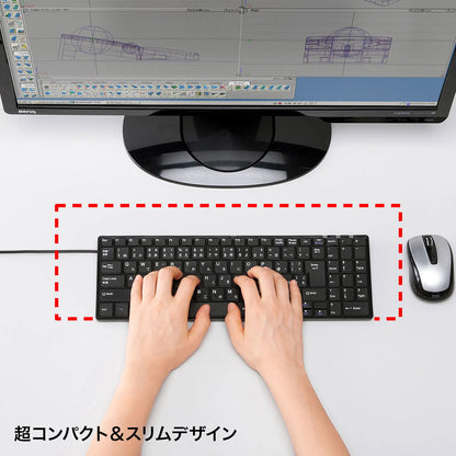 USBスリムキーボード SKB-SL17BKN