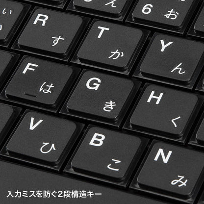 USBスリムキーボード SKB-SL17BKN