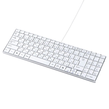 USB Slim Keyboard SKB-SL17WN