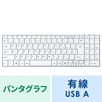 USB Slim Keyboard SKB-SL17WN