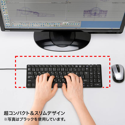 USB Slim Keyboard SKB-SL17WN