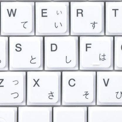 USB Slim Keyboard SKB-SL17WN