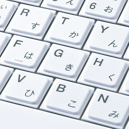 USB Slim Keyboard SKB-SL17WN