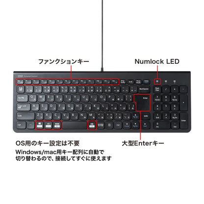 USB Slim Keyboard SKB-SL31BK
