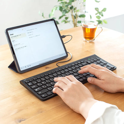USB Type-C Slim Keyboard SKB-SL31CBK