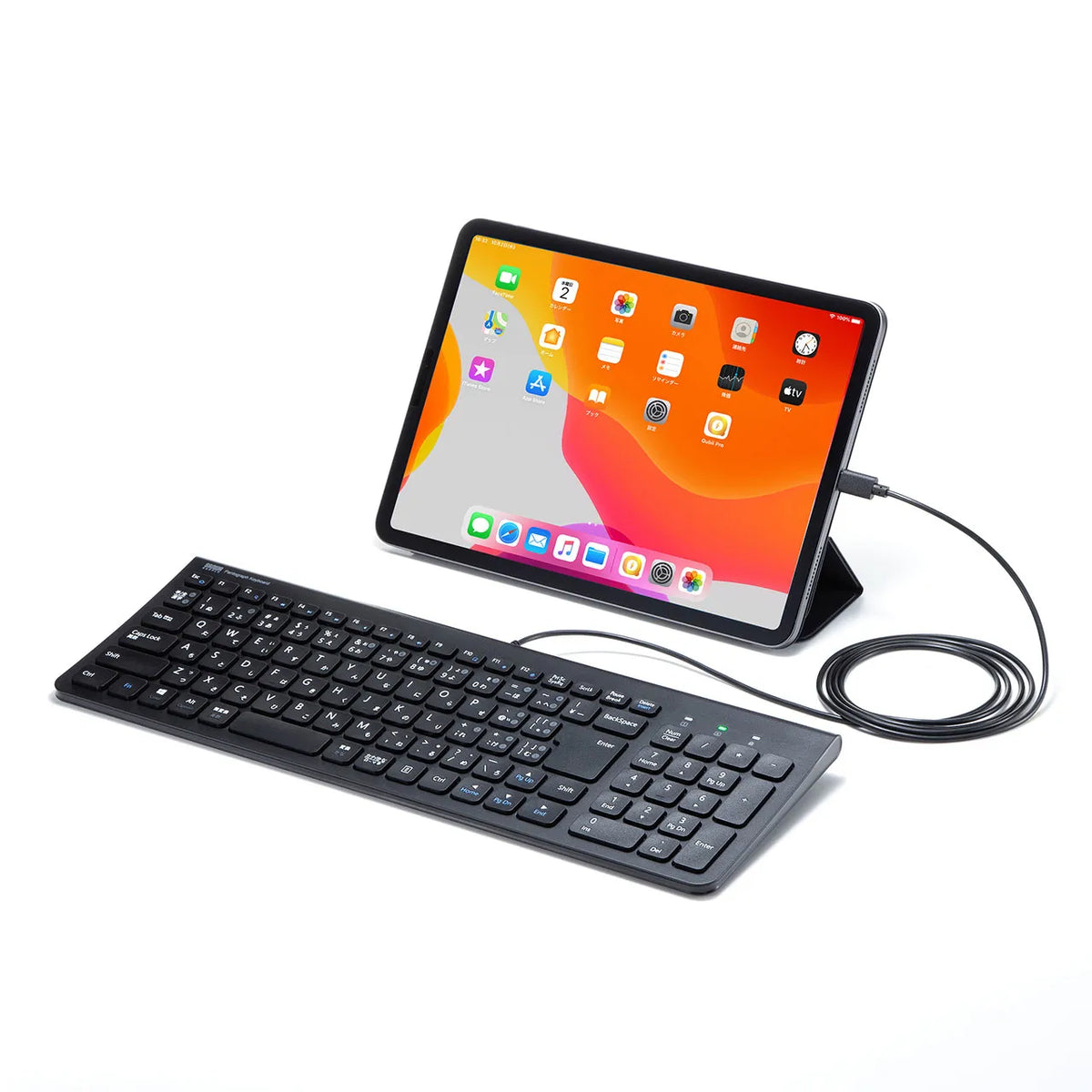 USB Type-C Slim Keyboard SKB-SL31CBK