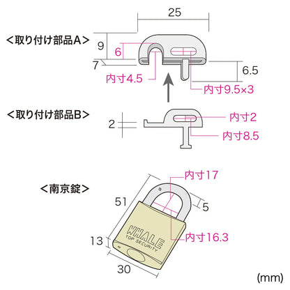 Laptop & Mouse Security SL-21K