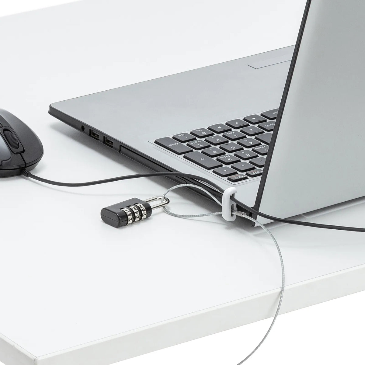 Laptop & Mouse Security SL-21