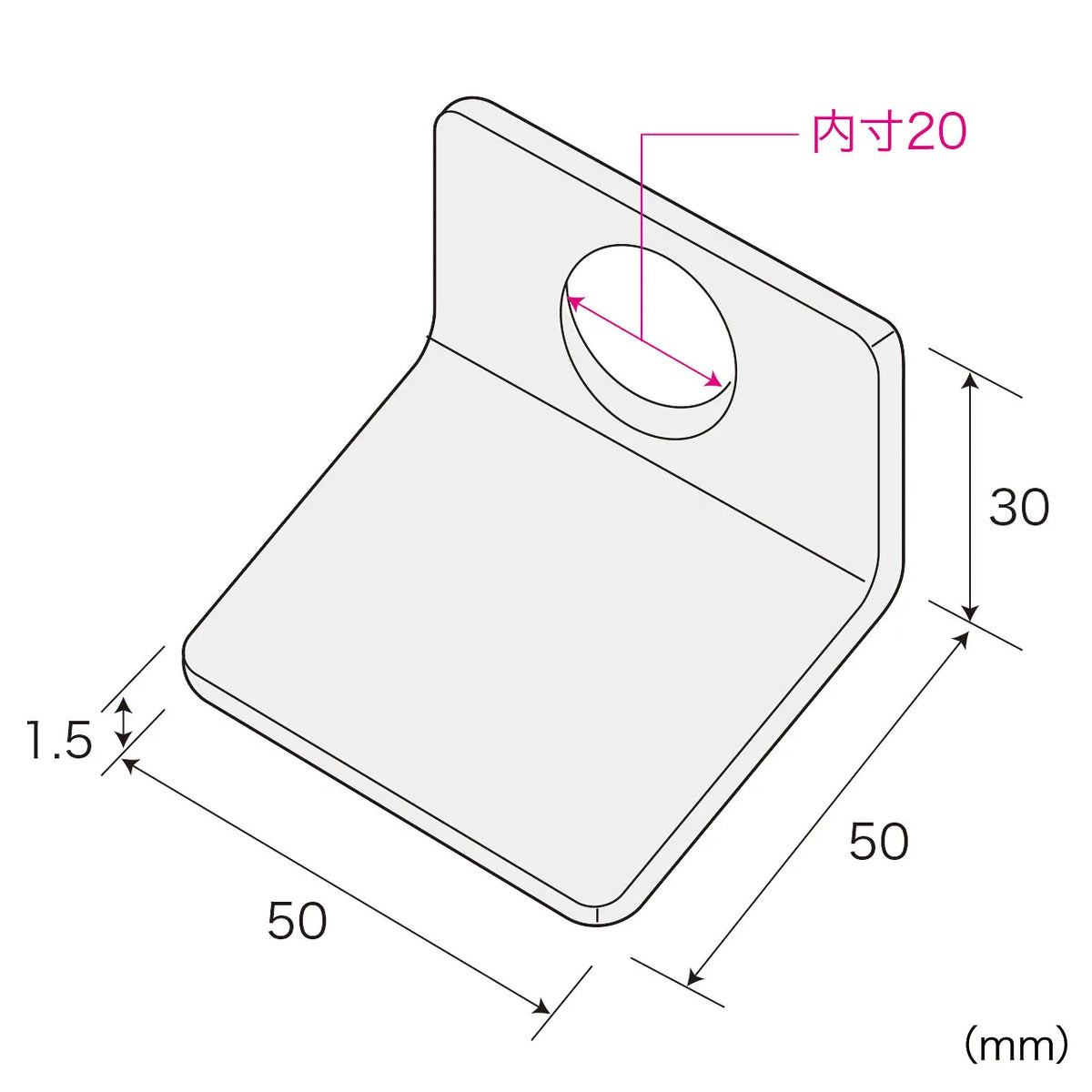 e-Security (Large Mounting Bracket) SLE-10PN