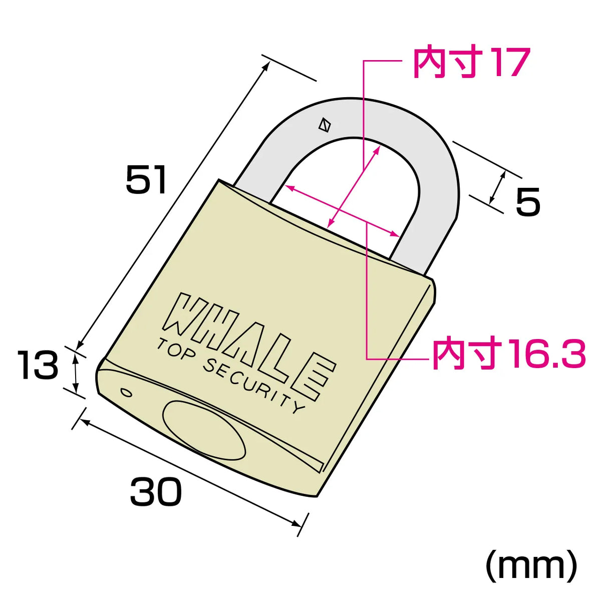 eセキュリティ(南京錠大No.1) SLE-1L-1N