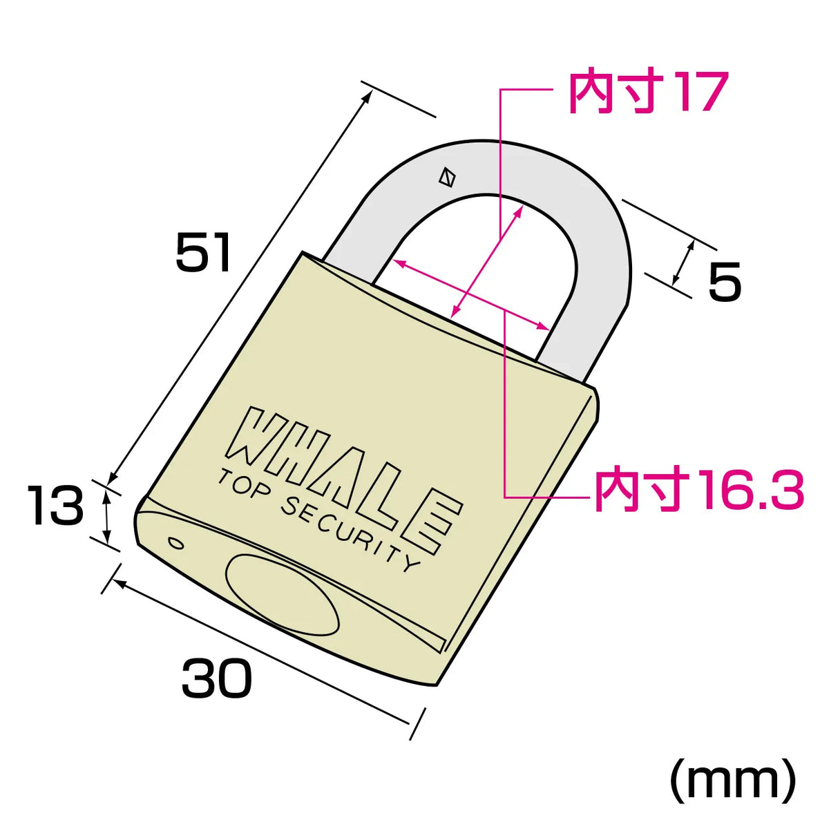 eセキュリティ(マスターキー対応南京錠・大) SLE-1LM