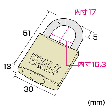 eセキュリティ(マスターキー対応南京錠・大) SLE-1LM