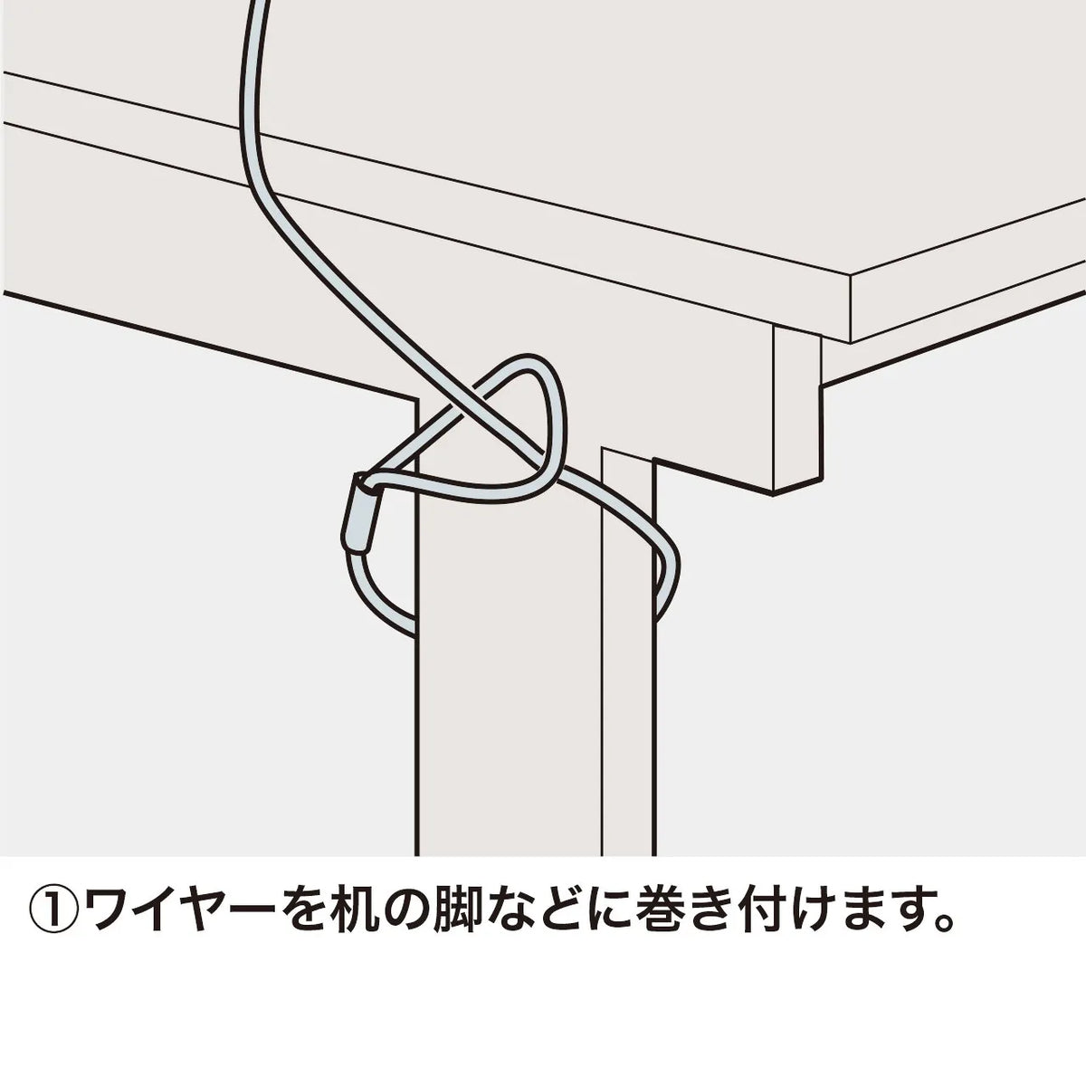 eセキュリティ(マイクロロック) SLE-1P
