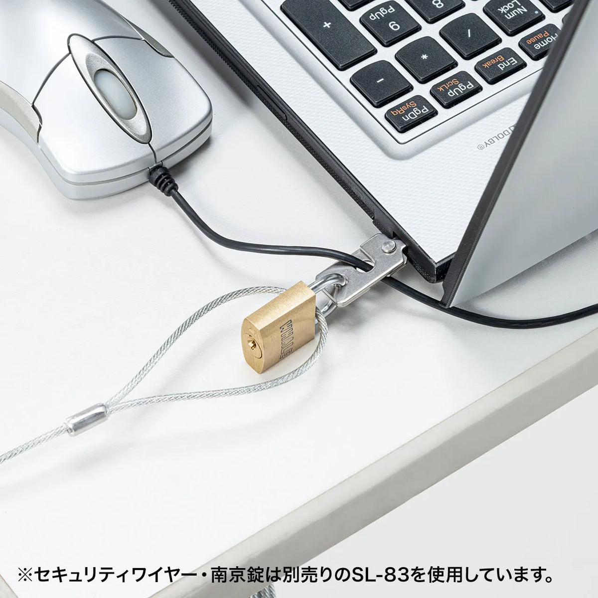 eセキュリティ（nanoSaverスロット対応取付け部品） SLE-22P
