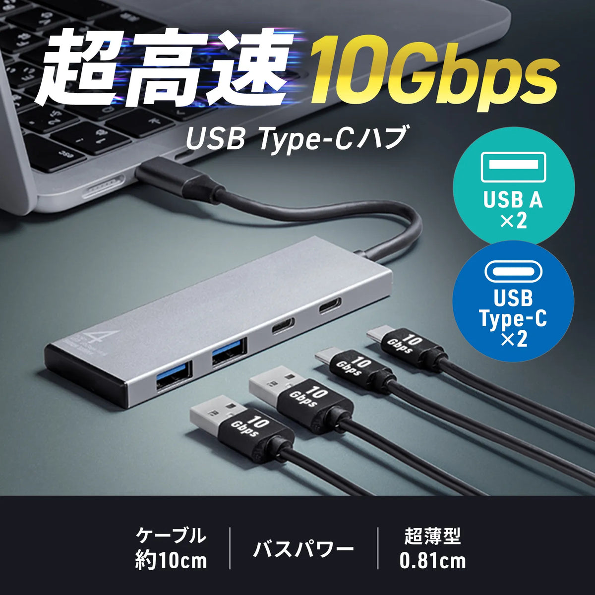 USB 10Gbps Type-C Hub (4 Ports) USB-10TC14SV