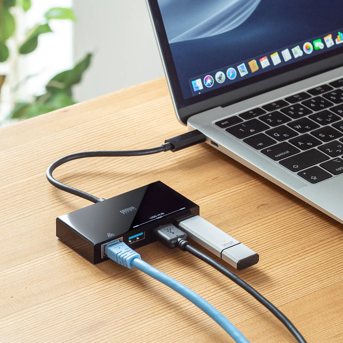 USB Type-Cハブ付き ギガビットLANアダプタ USB-3TCH19RBKN