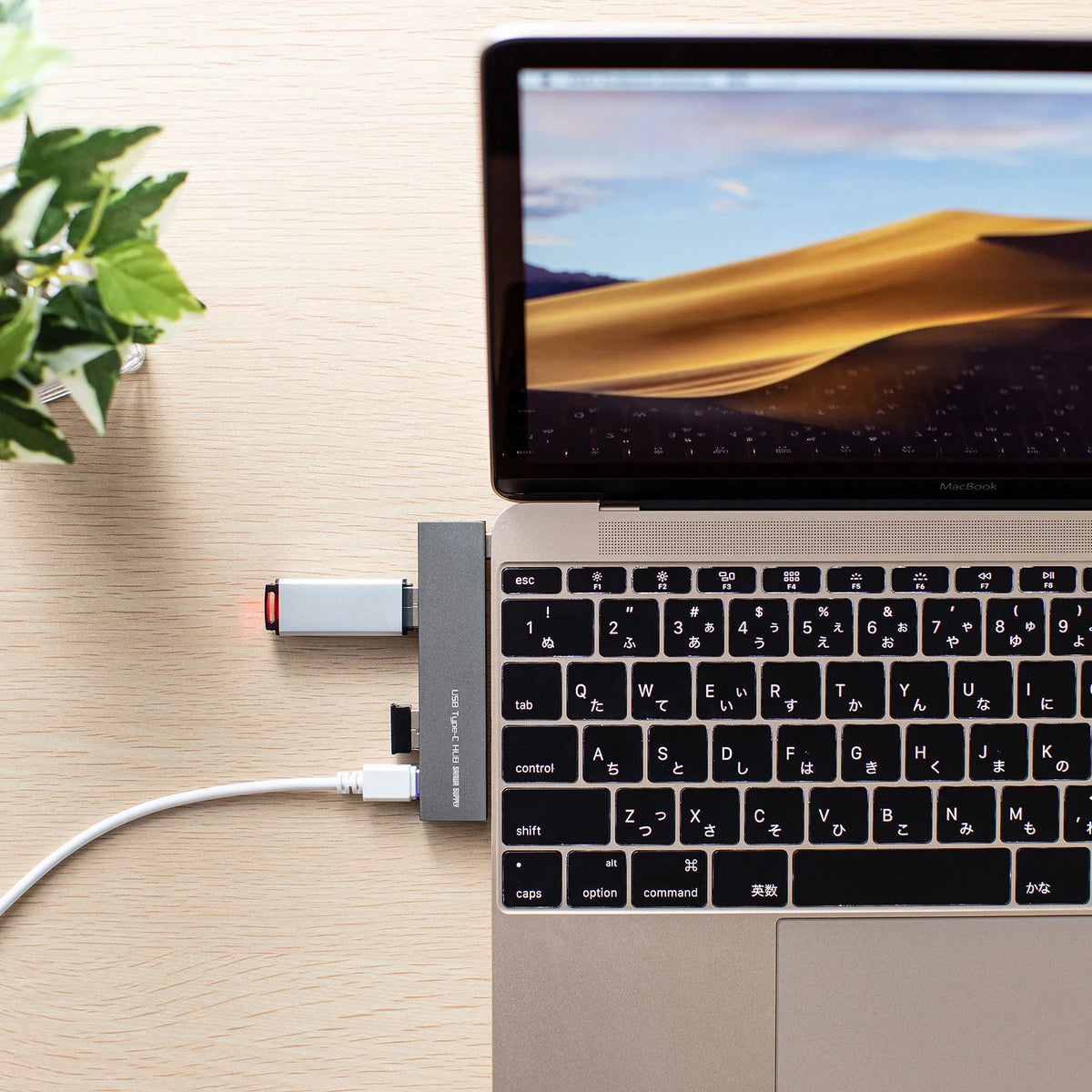 USB Type-C Combo Slim Hub USB-3TCH21SN