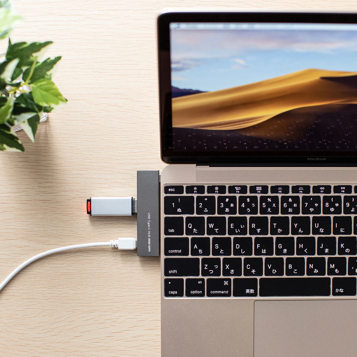 USB Type-C 3-Port Slim Hub USB-3TCH22SN