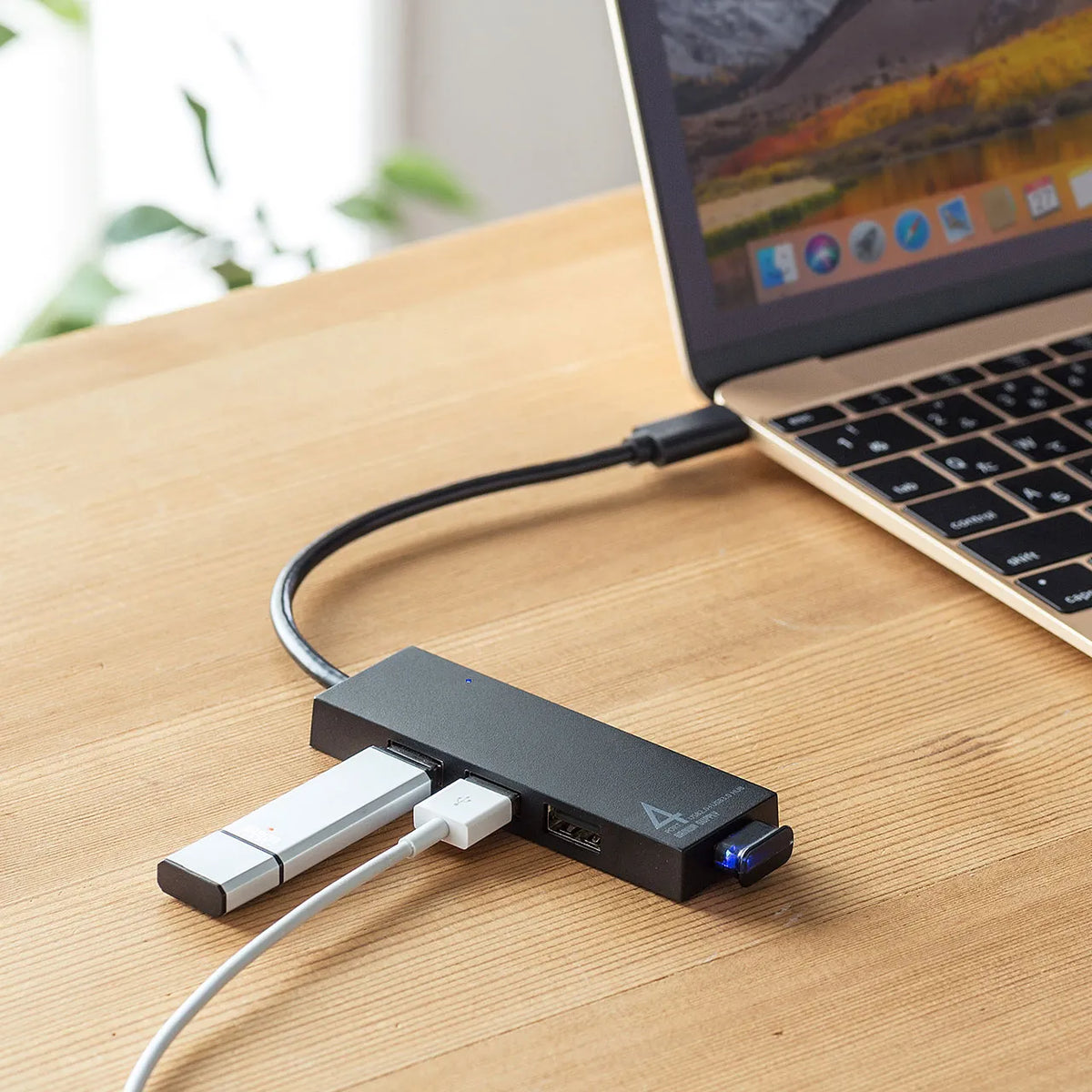 USB Type-C Combo Hub (4 Ports) USB-3TCH7BK