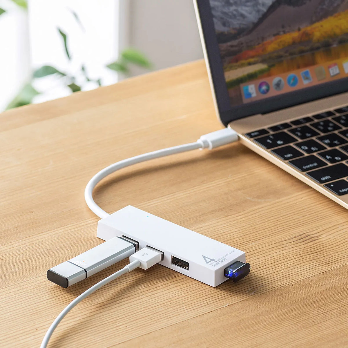 USB Type-C Combo Hub (4 Ports) USB-3TCH7W