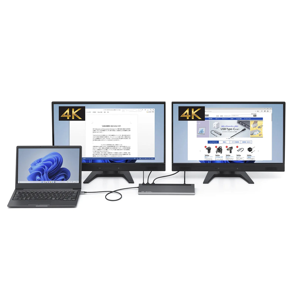 USB Type-C Docking Station (4K compatible, HDMI x2 output) USB-CVDK14