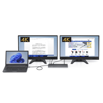 USB Type-C Docking Station (4K compatible, HDMI x2 output) USB-CVDK14
