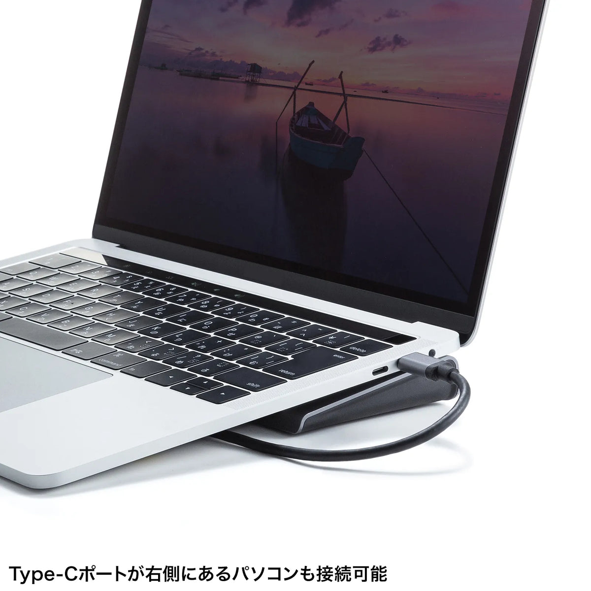USB Type-C Docking Station (4K compatible, HDMI x2 output) USB-CVDK14