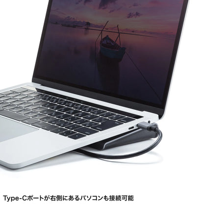 USB Type-C Docking Station (4K compatible, HDMI x2 output) USB-CVDK14