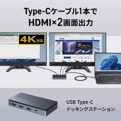 USB Type-C Docking Station (Supports HDMI x 2 Display Output) USB-CVDK15