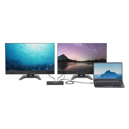 Docking Station (4K, HDMI x2 output, AC adapter included) USB-CVDK16