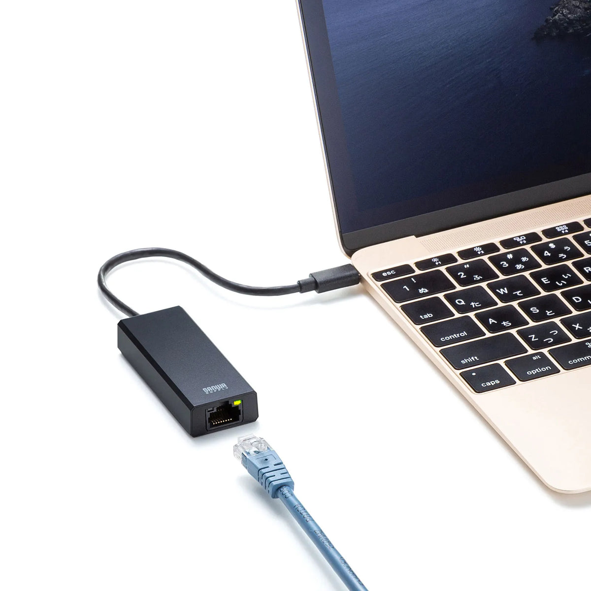 USB 3.2 Type-C to LAN Conversion Adapter (2.5Gbps compatible) USB-CVLAN6BK