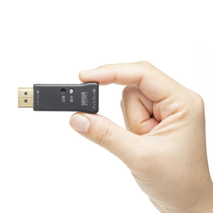 EDID holder (for DisplayPort) VGA-EDID2