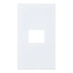 SO-STYLE WNS6001W – Wall Plate (1-Gang) – Matte White