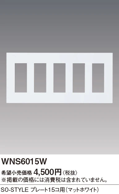 SO-STYLE WNS6015W – Wall Plate (15-Gang) – Matte White