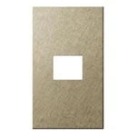 SO-STYLE WNS9601Y – Extra Metal Plate (1-Module) – Vibration Finish – Gold