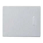 WTA3002CS Advance Series Flush Mount Double Switch Handle
