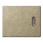 WTA3022Y Advance Series Extra Metal Handle for Flush Mount Double Switch (with Indicator) (Vibration Finish) (Gold)