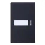 WTA3031B Advance Series Flush Mount Switch Handle (with Display and Name) (Matte Black)