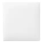 WTA7792W Advanced Simple Fire-Resistant Cover Plate (for 2 units) (with mounting frame) (Matte White)