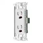 WTL11623W Advance Recessed Double Outlet with Grounding and Metal Frame (Ceramic White)